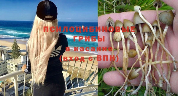 a pvp Горнозаводск