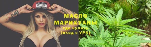 гидра Гусев