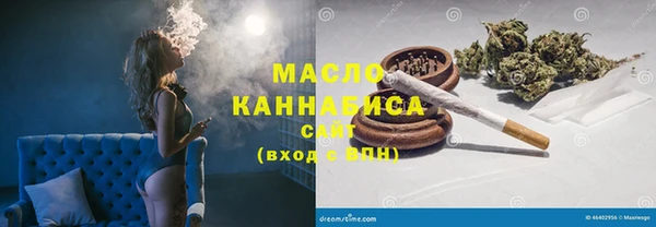 гидра Гусев