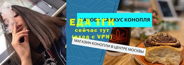 гидра Гусев