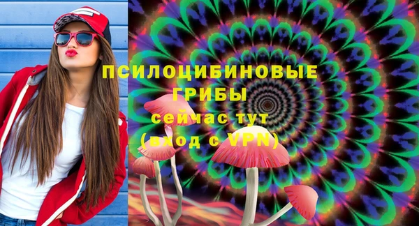 дурь Горняк