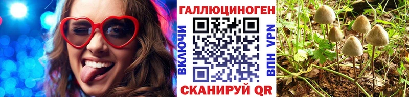 Галлюциногенные грибы Magic Shrooms  Армавир 